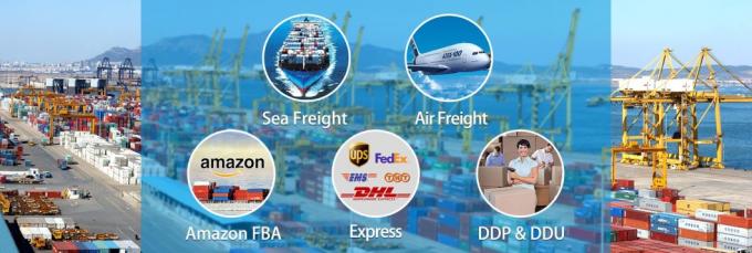 De de Logistiekdienst van de luchtVrachtvervoerder van China aan Noorwegen