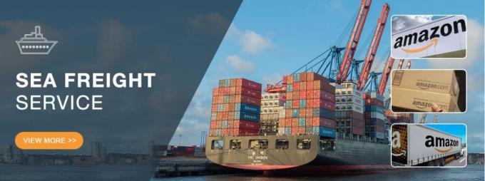 Top 10 het Snelle Overzees Oceaan Verschepend China van Zim Forwarding DDP van de Vrachtvervoerdersagent aan de V.S. Maleisië Singapore India